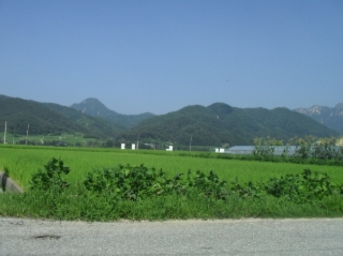거창지원 2014타경2639-1 사진