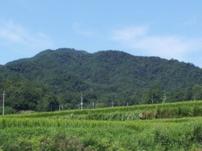 거창지원 2014타경2905-1 사진
