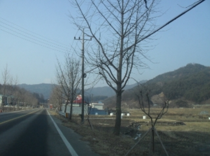 거창지원 2015타경135-1 사진