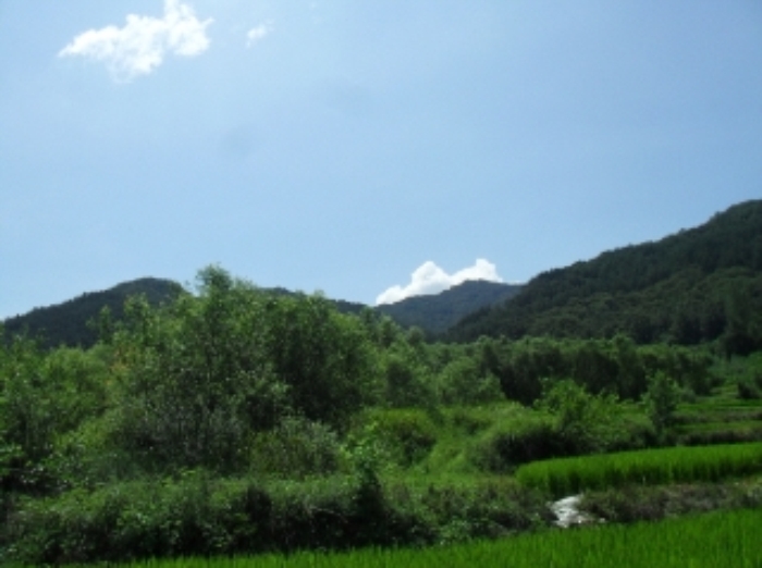 거창지원 2015타경2544-1 사진