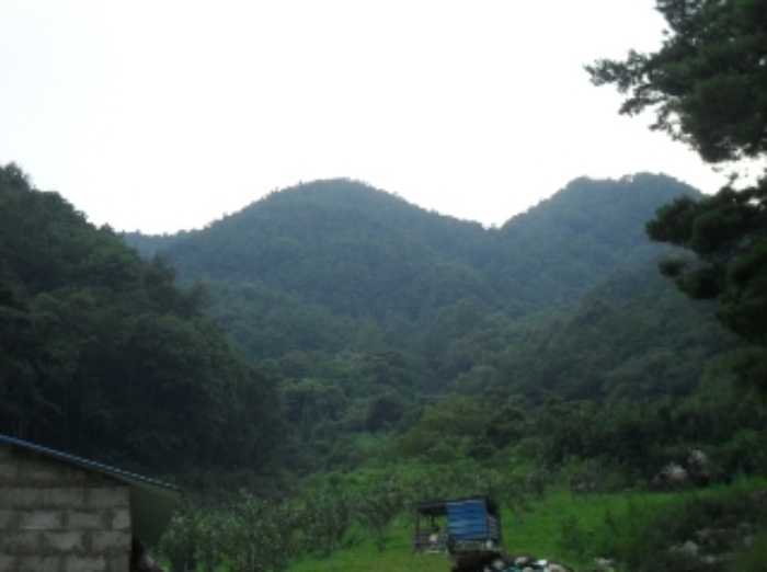 거창지원 2015타경2599-1 사진