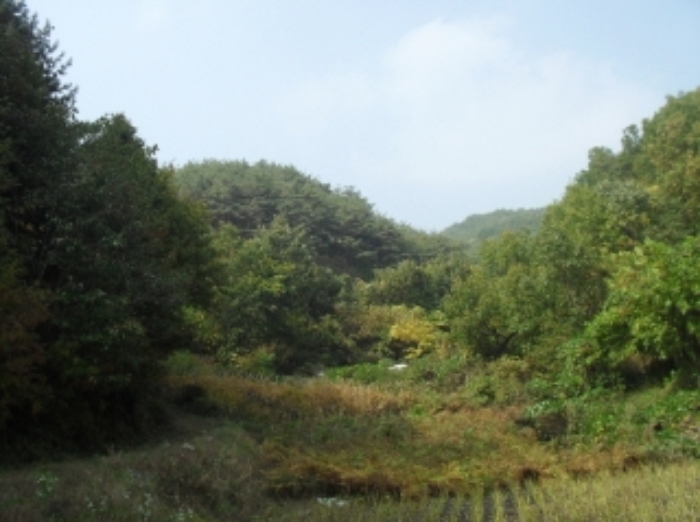 거창지원 2015타경10477-1 사진