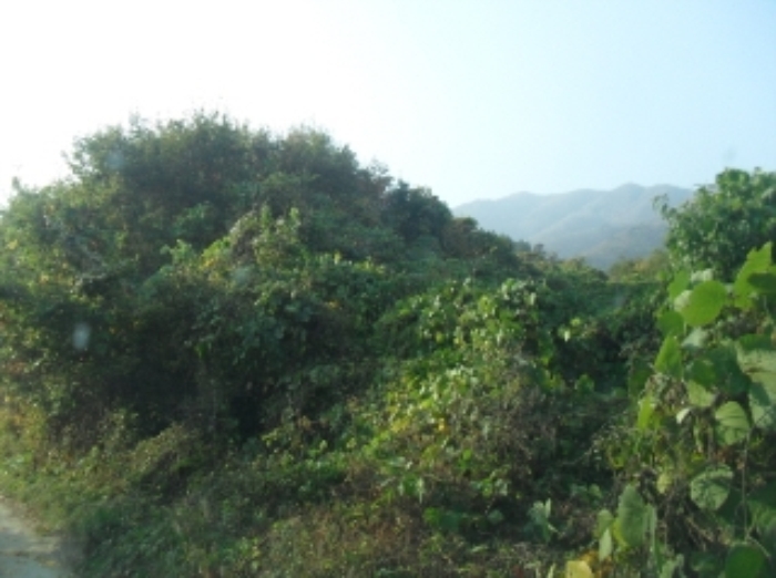 거창지원 2015타경10491-3 사진