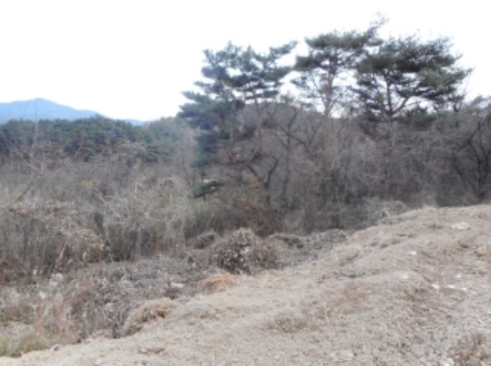 거창지원 2016타경3230-2 사진