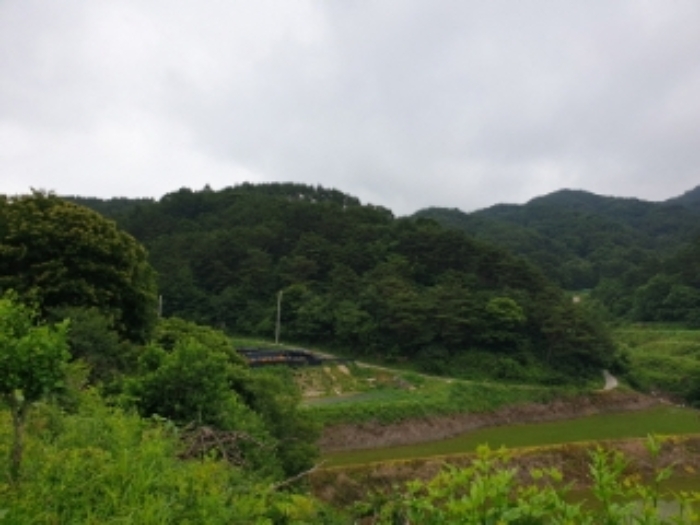 거창지원 2021타경563-1 사진