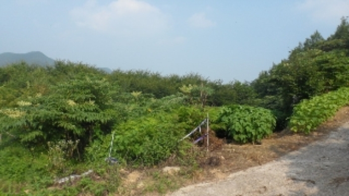 마산지원 2015타경4890-1 사진