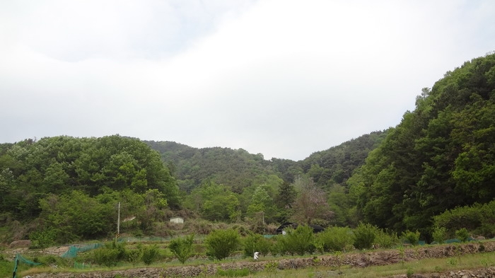 마산지원 2018타경2536-1 사진