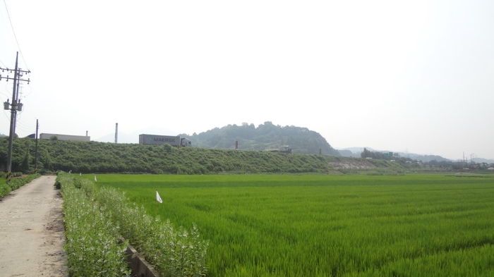 마산지원 2018타경4495-1 사진