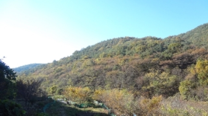 마산지원 2018타경4587-1 사진