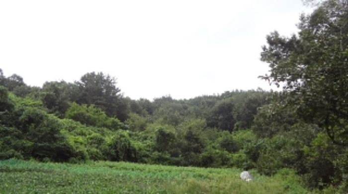 마산지원 2018타경5153-1 사진