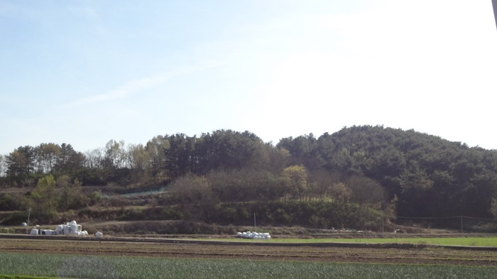 마산지원 2018타경70607-1 사진