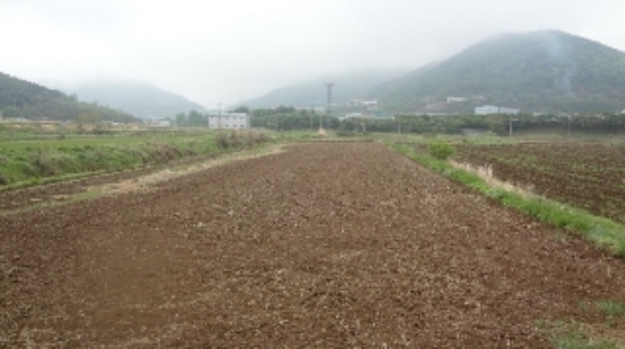 마산지원 2019타경2731-1 사진