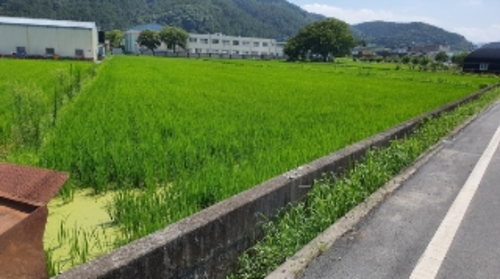 마산지원 2022타경2335-1 사진
