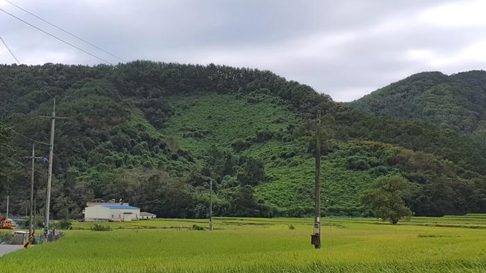 마산지원 2022타경2748-1 사진
