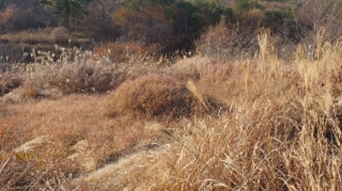 마산지원 2022타경104903-1 사진