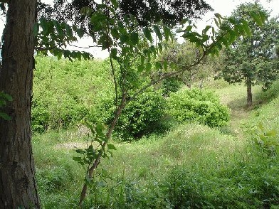 광주지법 2007타경15415-1 사진