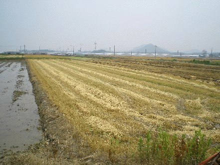 광주지법 2007타경15613-1 사진