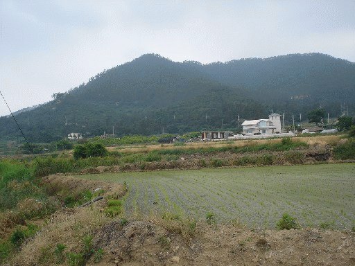 광주지법 2007타경17039-1 사진