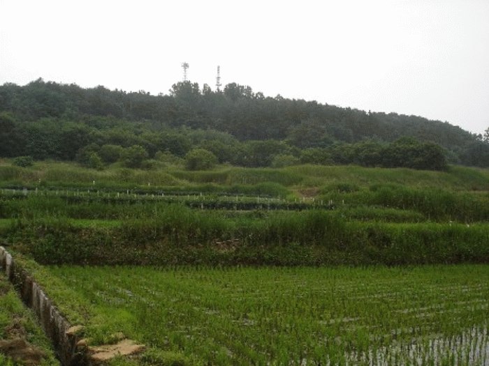 광주지법 2007타경23171-2 사진