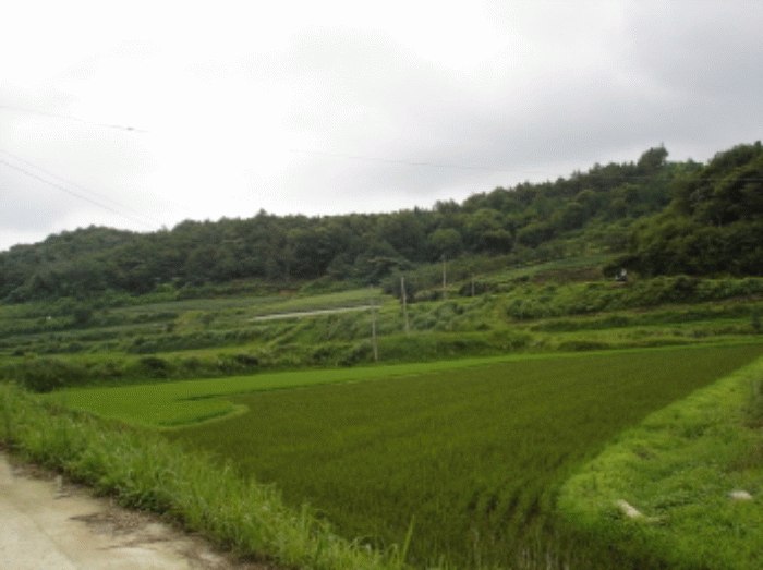 광주지법 2007타경24808-3 사진