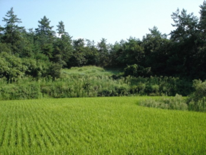 광주지법 2007타경33055-3 사진