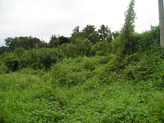 광주지법 2007타경34027-2 사진