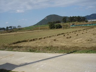 광주지법 2007타경41759-1 사진