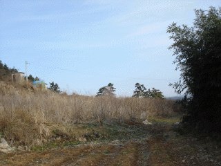 광주지법 2007타경51428-1 사진