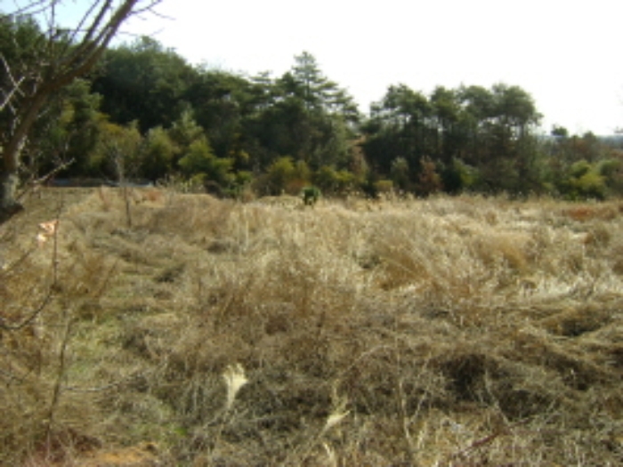 광주지법 2009타경1229-2 사진