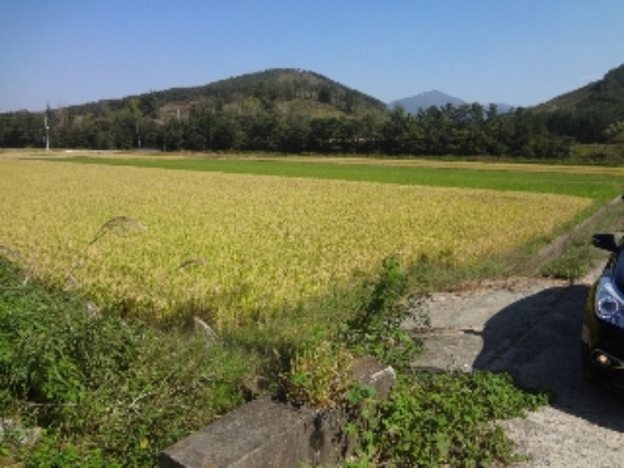 광주지법 2016타경16809-1 사진