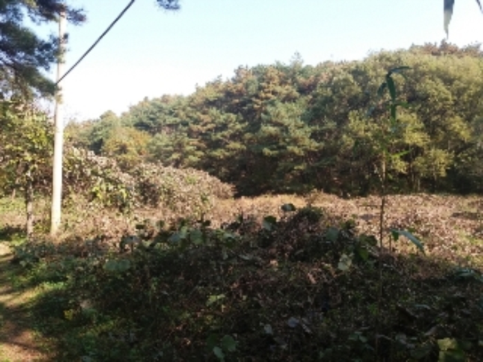광주지법 2016타경18355-1 사진