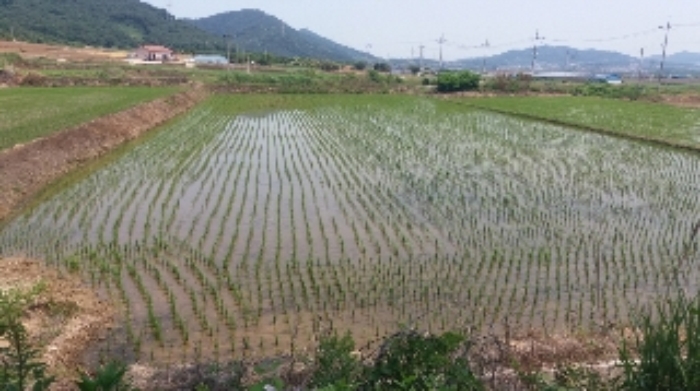 광주지법 2017타경9099-2 사진