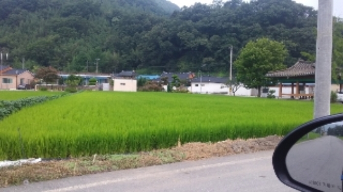 광주지법 2017타경12842-1 사진