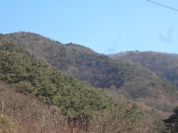 광주지법 2017타경19461-7 사진