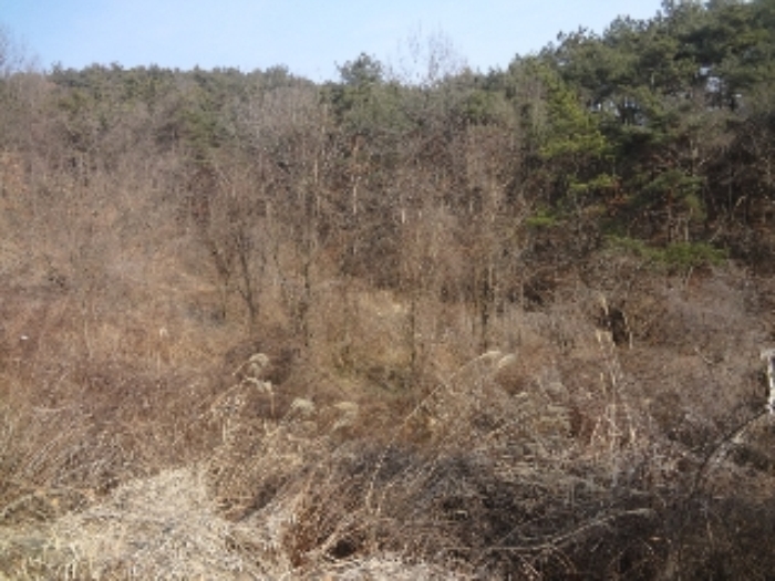 광주지법 2017타경60056-1 사진