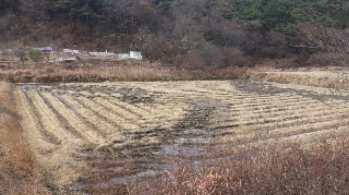 광주지법 2017타경68012-1 사진