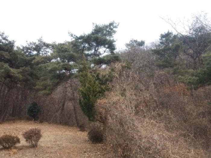 광주지법 2018타경1849-1 사진