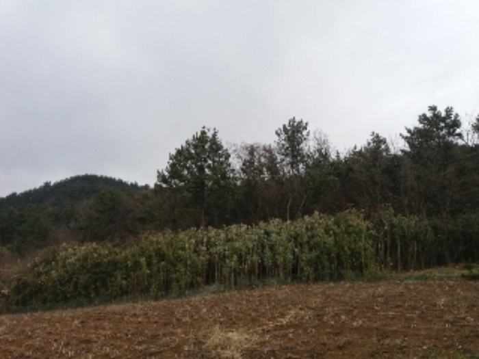 광주지법 2018타경2705-1 사진
