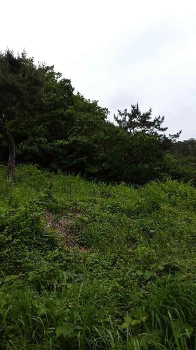 광주지법 2018타경7090-1 사진