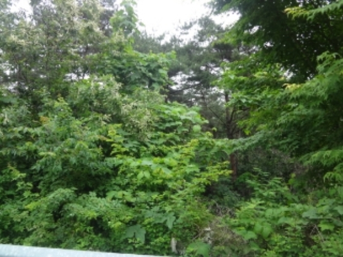 광주지법 2018타경8260-1 사진