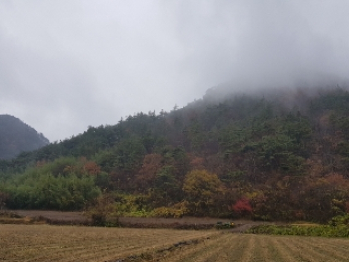 광주지법 2018타경16247-1 사진