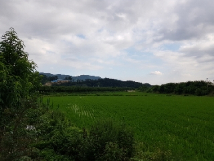 광주지법 2018타경66198-2 사진