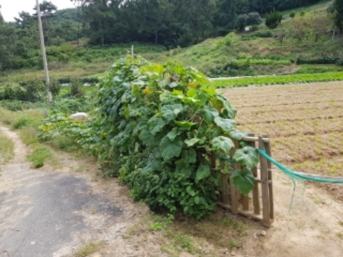 광주지법 2018타경68200-1 사진
