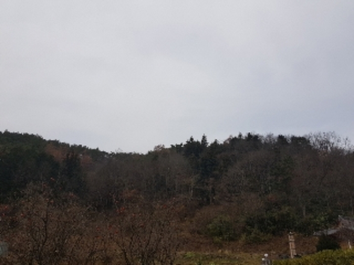 광주지법 2018타경71527-1 사진
