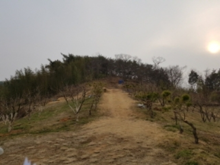 광주지법 2019타경2221-1 사진