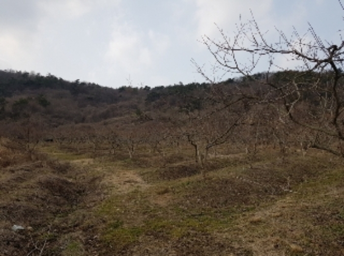 광주지법 2019타경2504-1 사진