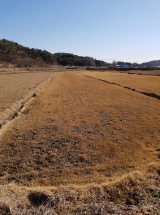 광주지법 2019타경3101-1 사진