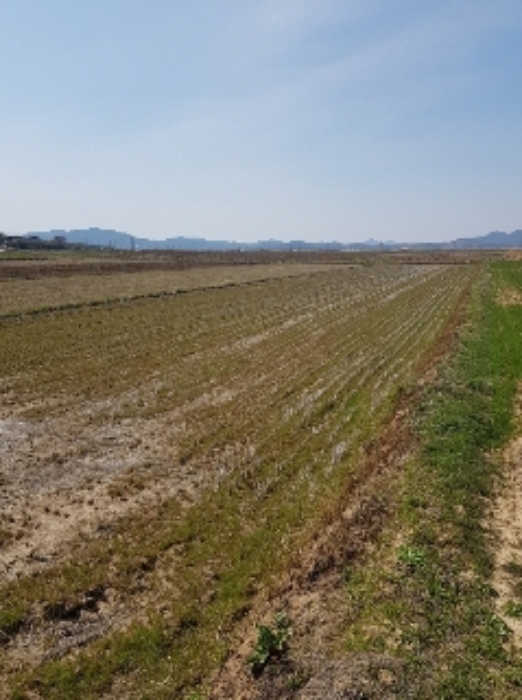 광주지법 2019타경4340-1 사진