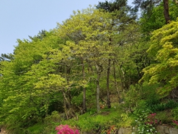 광주지법 2019타경6322-1 사진