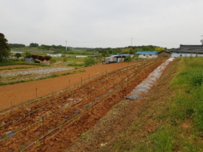 광주지법 2019타경6452-1 사진